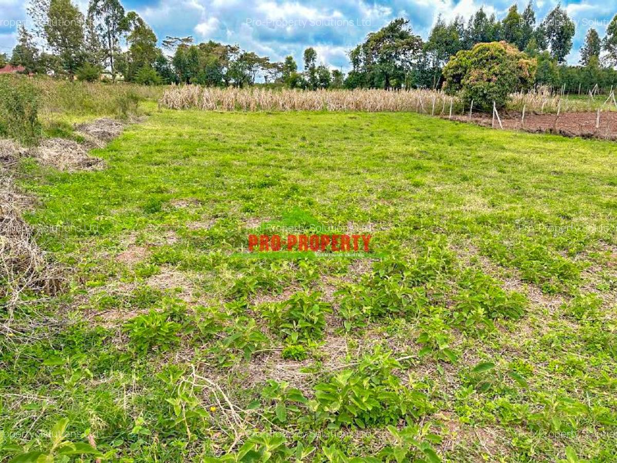 0.2 ha Land at Ondiri - 3