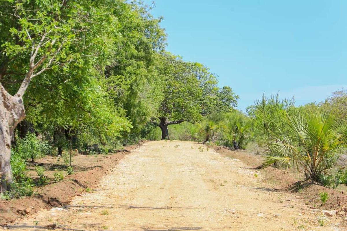 Residential Land in Mtwapa - 14