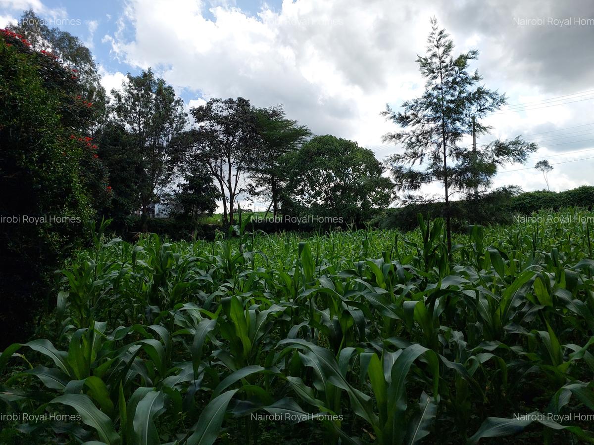 Land at Kirawa Road - 14