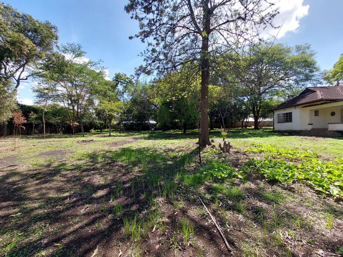 Residential Land at James Gichuru - 4