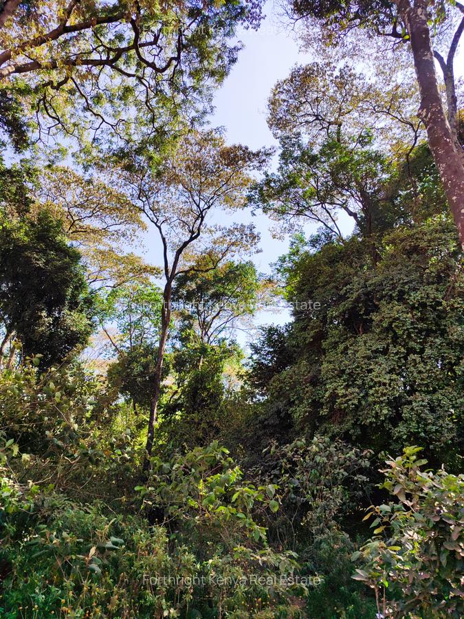 2.3 ac Land at Giraffe Centre - 2