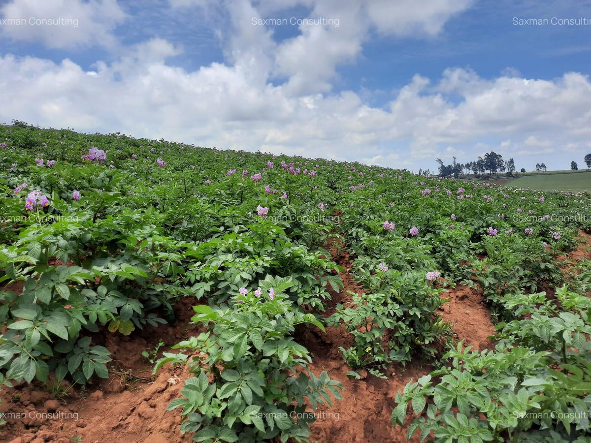 Land at Molo - 3