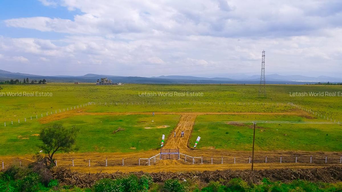 Residential Land in Naivasha - 6