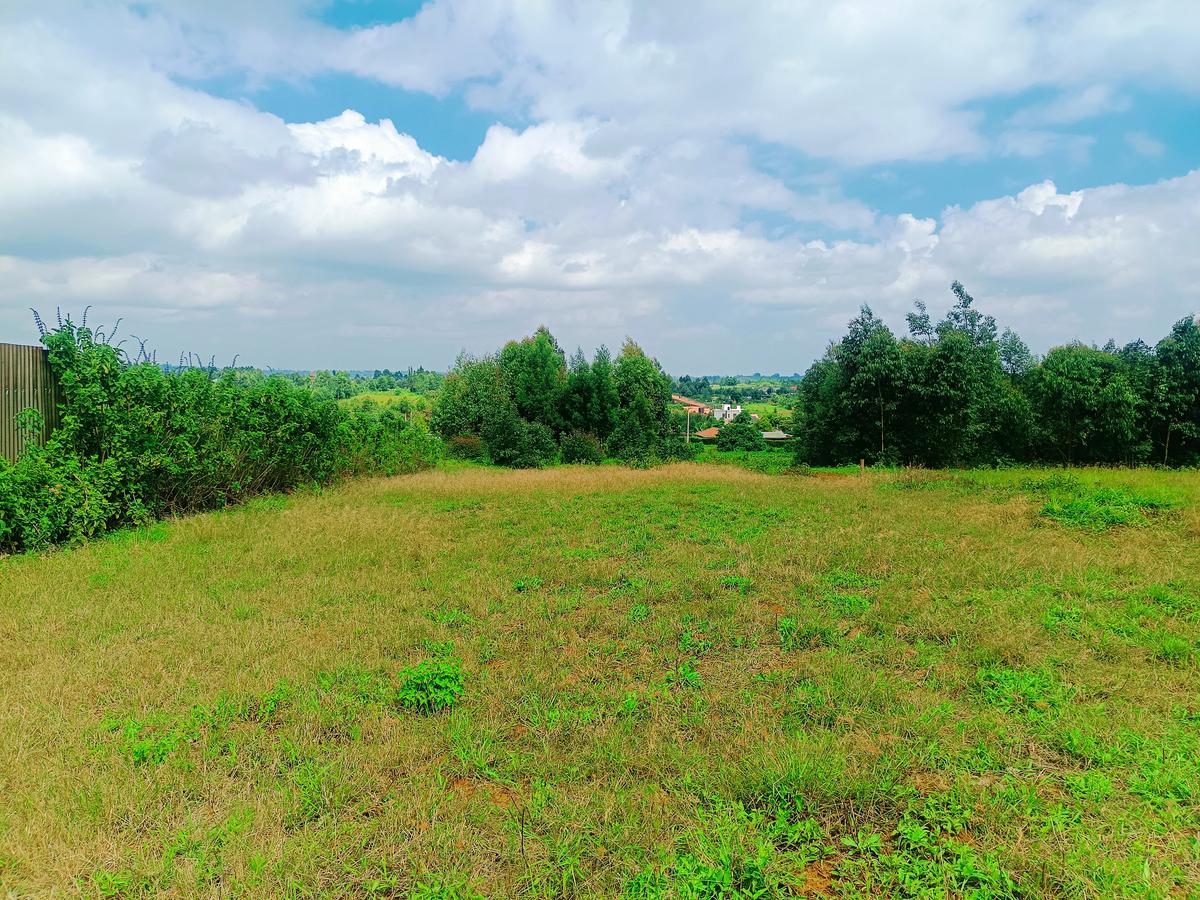 500 m² Residential Land at Thigio - 3