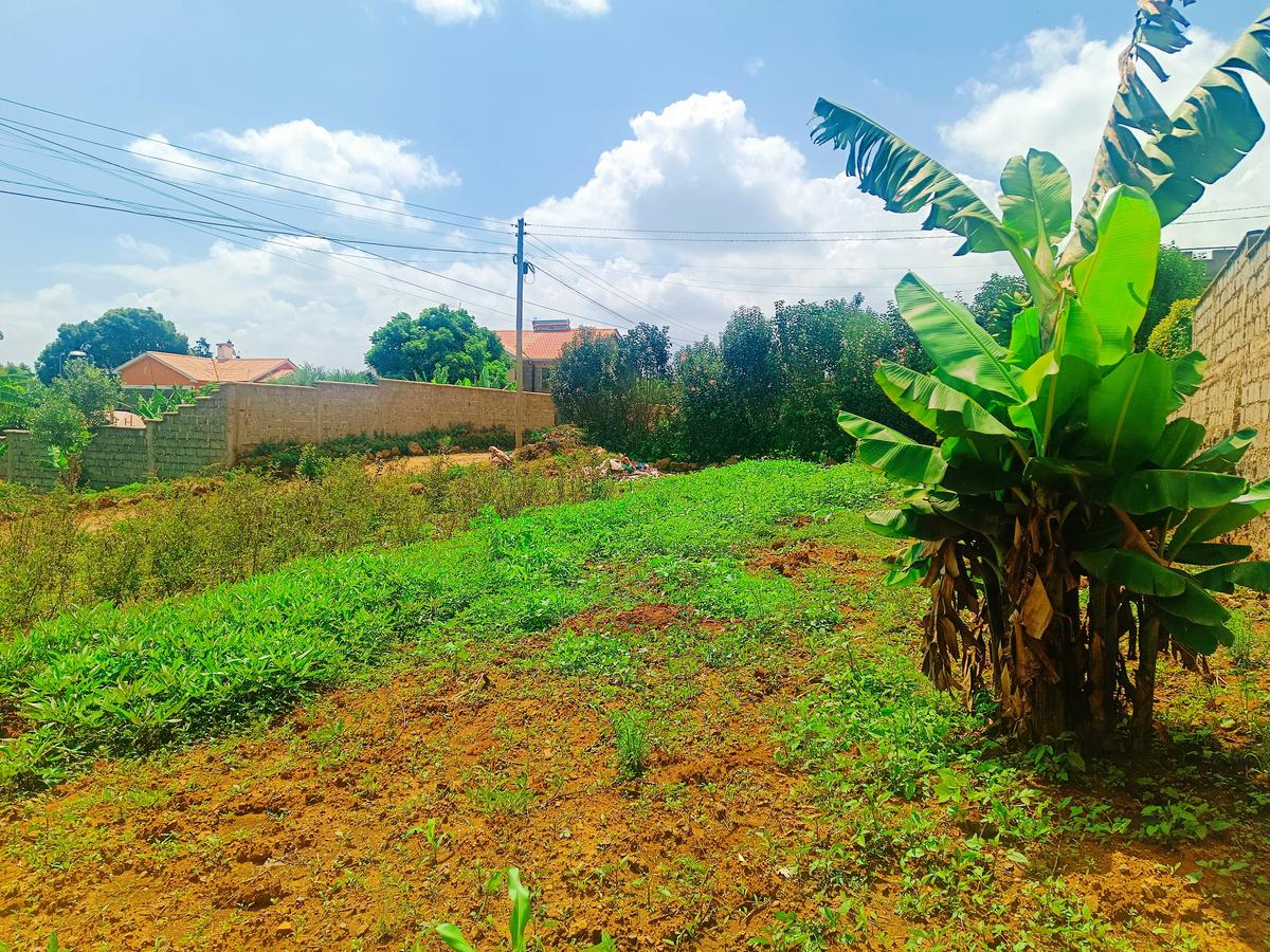 500 m² Residential Land at Nairobi Ndogo Estate - 7