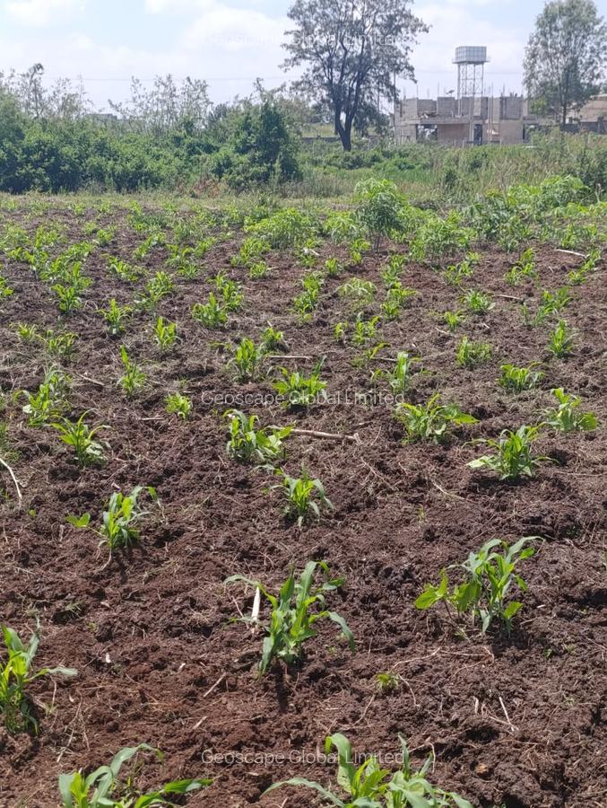 Land in Tatu City - 3