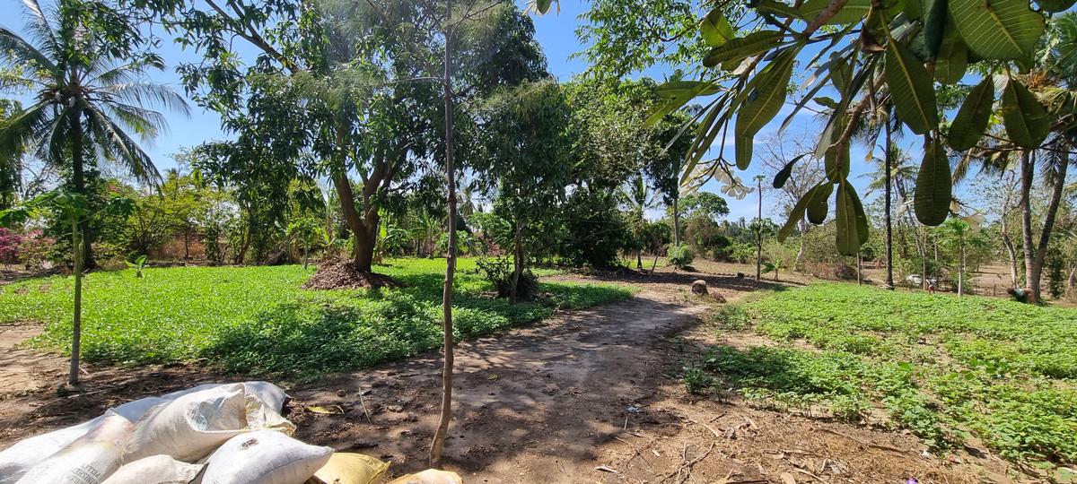 3 ac Land at Mtwapa - 1