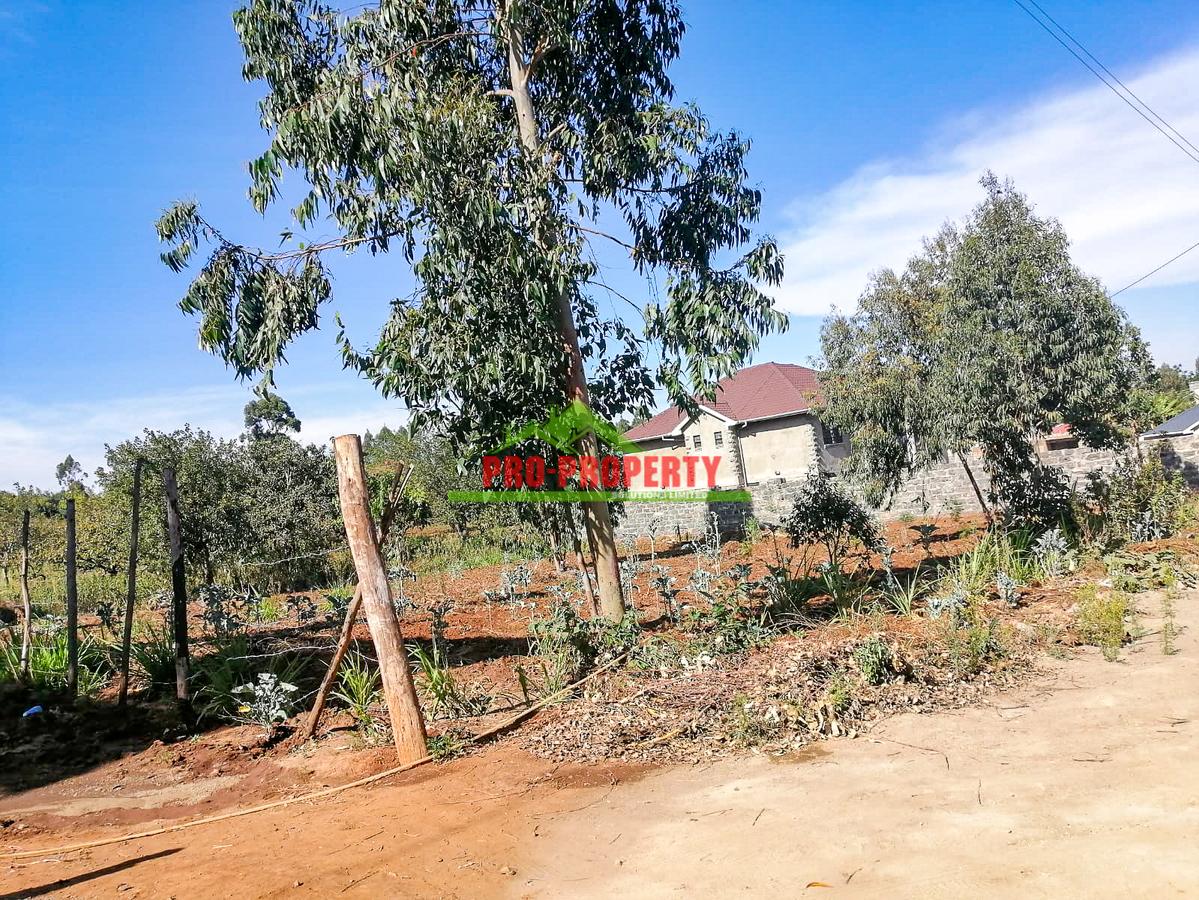 0.05 ha Residential Land at Kamangu - 6