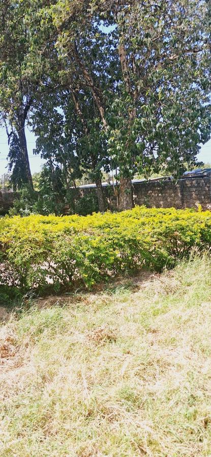 Residential Land in Nyali Area - 7