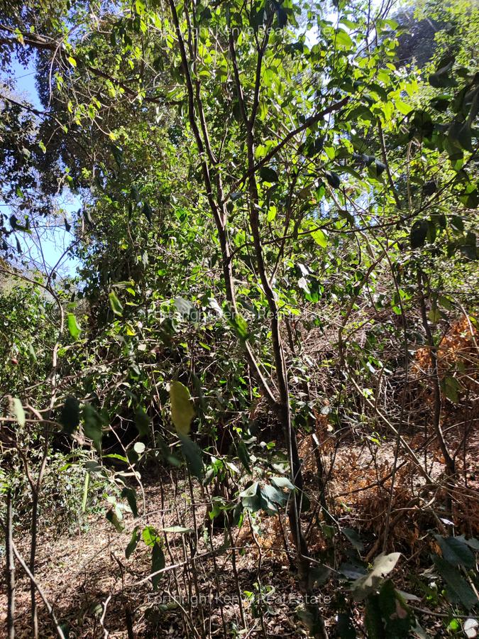 2.3 ac Land at Giraffe Centre - 14