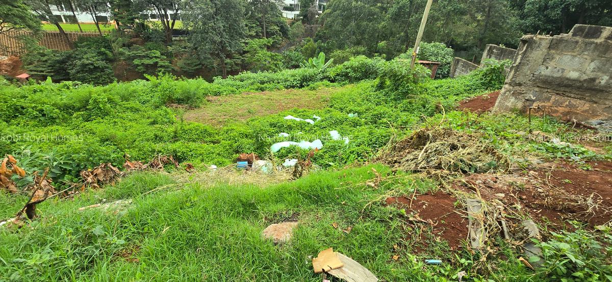 Residential Land at Kitisuru Road - 8