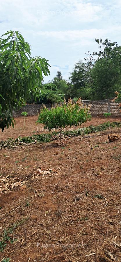 8 Bed House with En Suite at Kikambala - 11