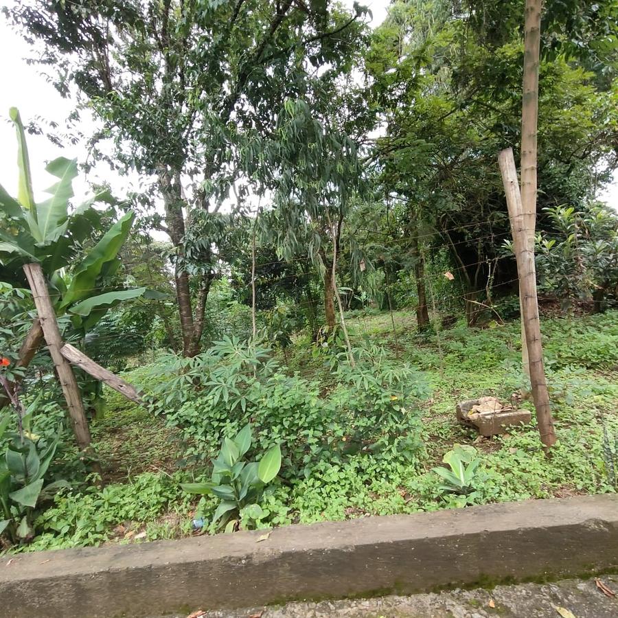 0.5 ac Land at Nandi Road - 17