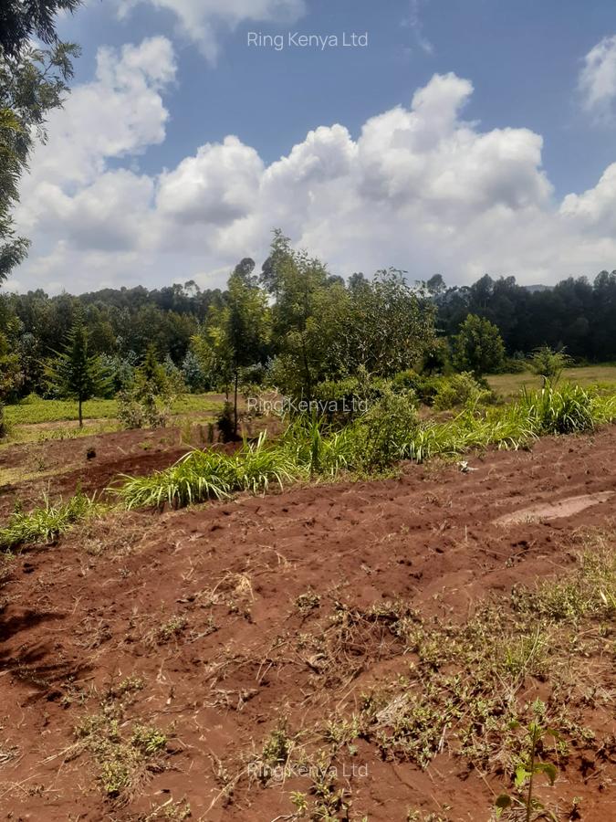 Land at Kibirichia - 2