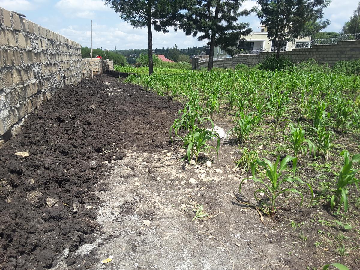 0.125 ac Residential Land in Ongata Rongai - 4