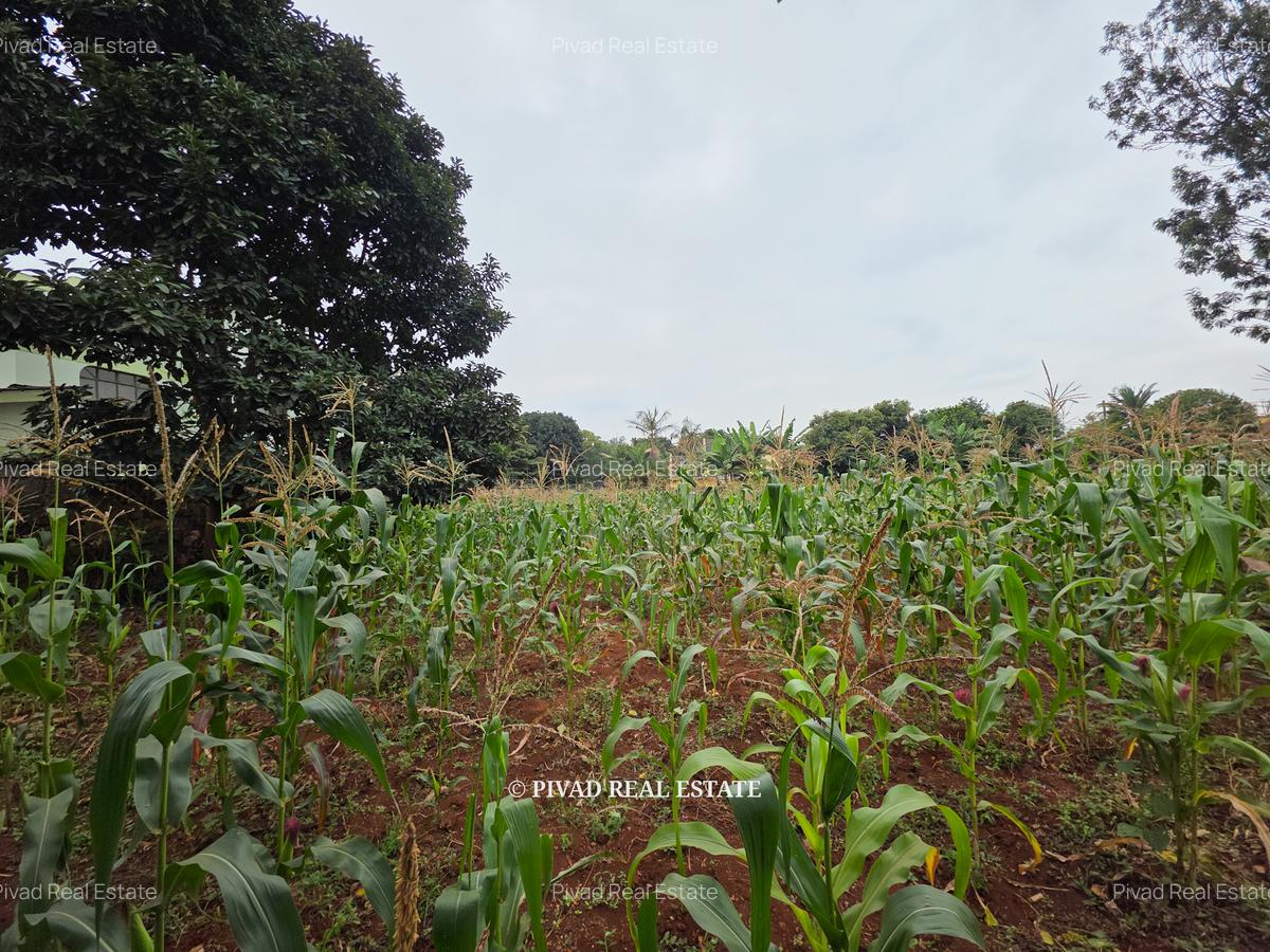 0.5 ac Land in Runda - 5