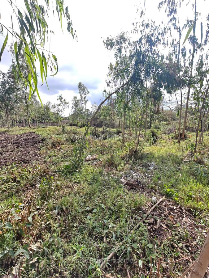 0.5 ac Land in Karen - 5