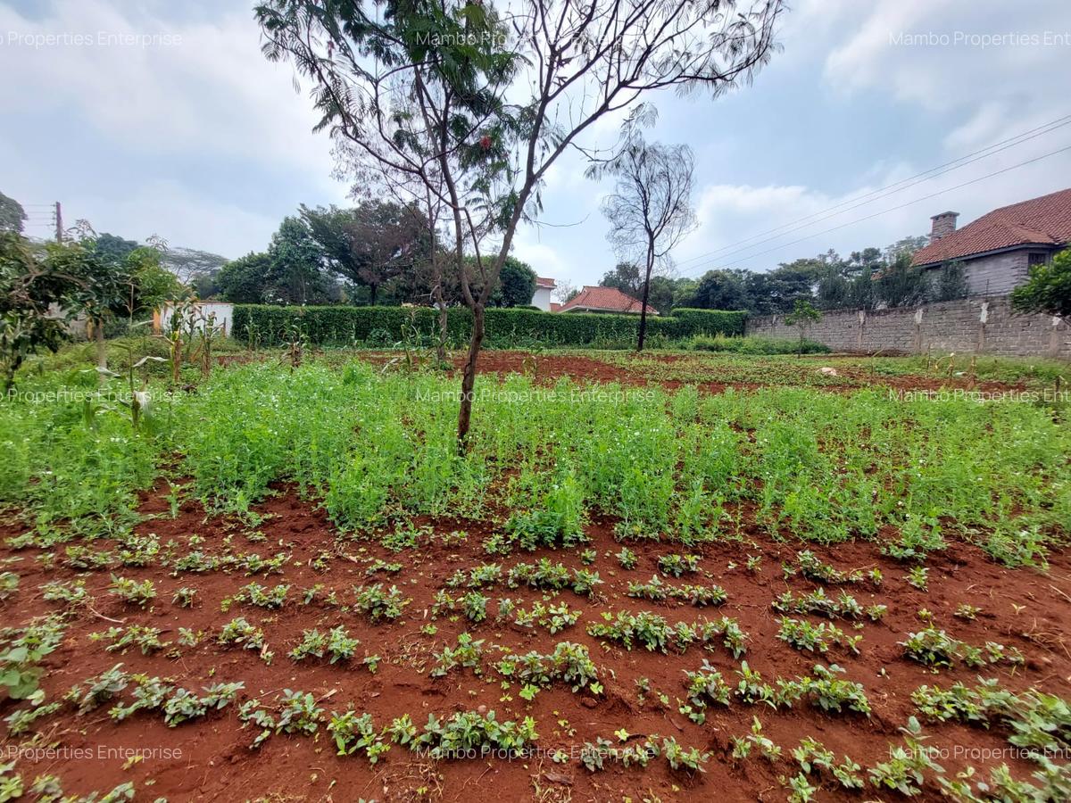 Residential Land at Pan African Insurance Avenue - 2
