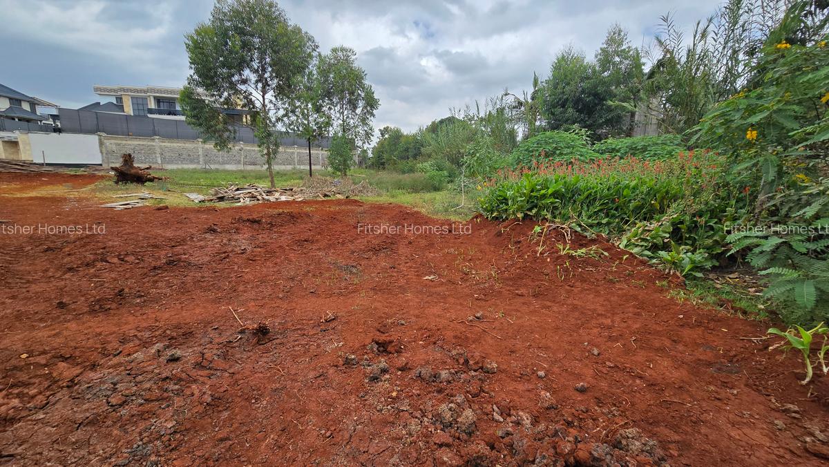 0.5 ac Residential Land in Ridgeways - 15