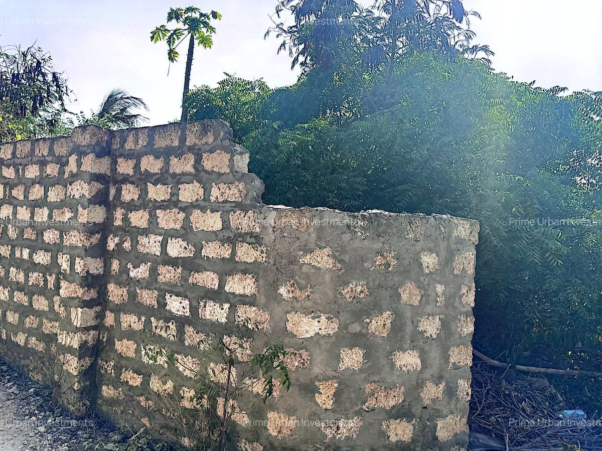 900 m² Land at Watamu 3Rd Row Beach - 7