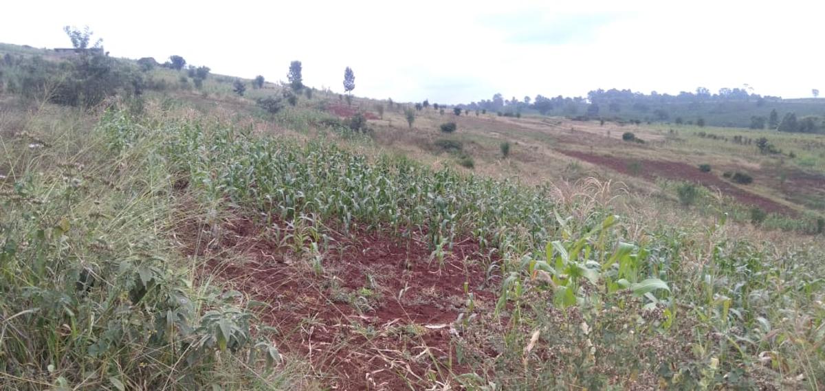 64,000 ft² Land at Kiambu Riabai - 14