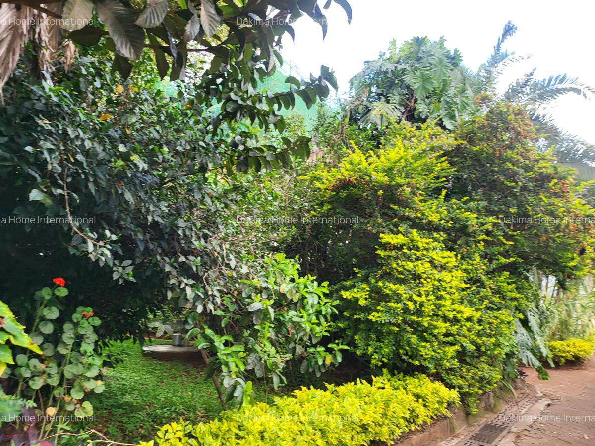 Commercial Property in Rhapta Road - 9