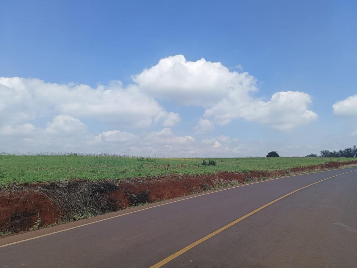 5 ac Land at Near Tatu City - 6