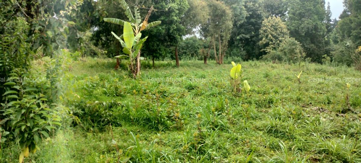 6 Bed House with En Suite in Tigoni - 6