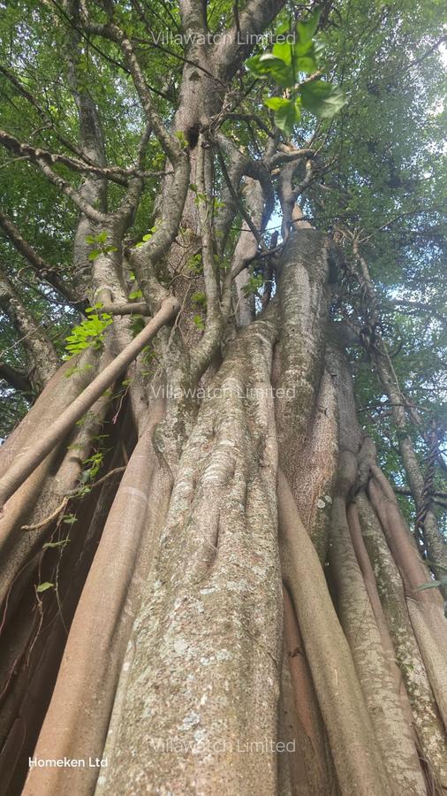 5 Bed House with En Suite at Windy Ridge - 4