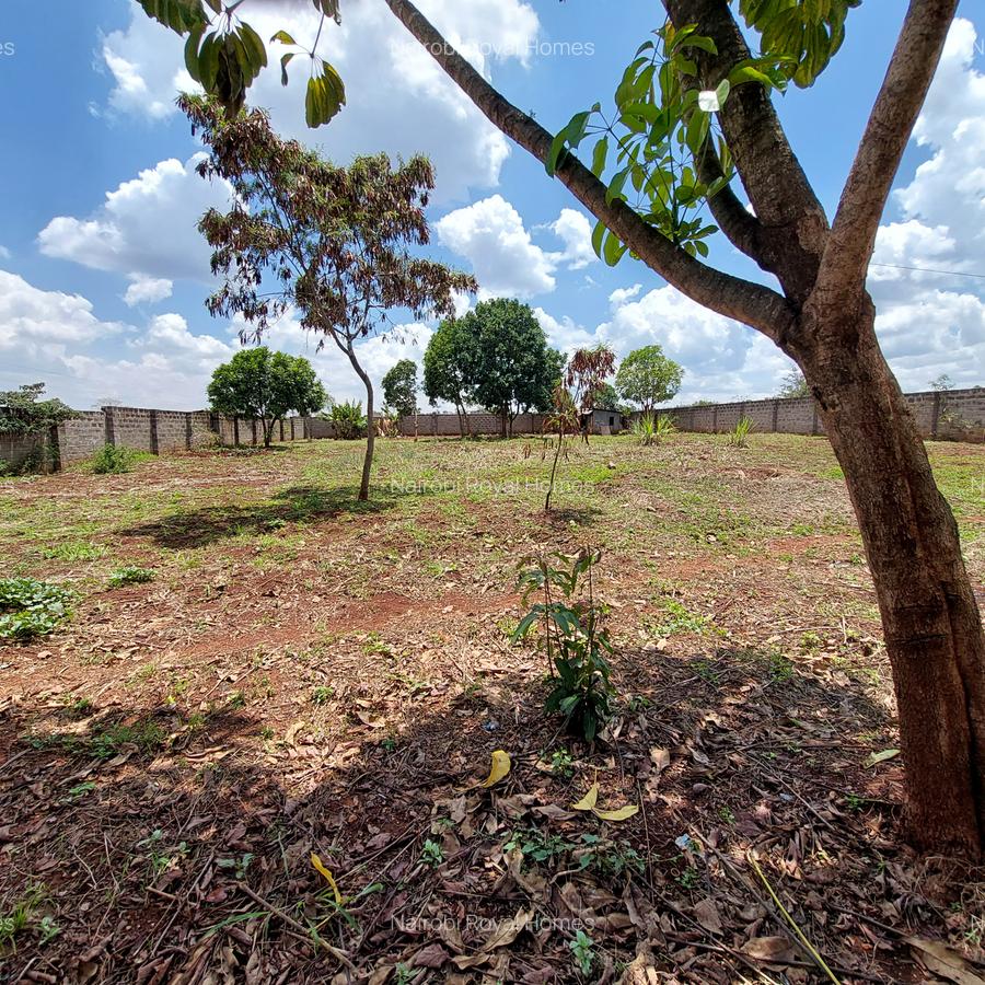 Residential Land at Flem Tree Off Ruaka Road - 17