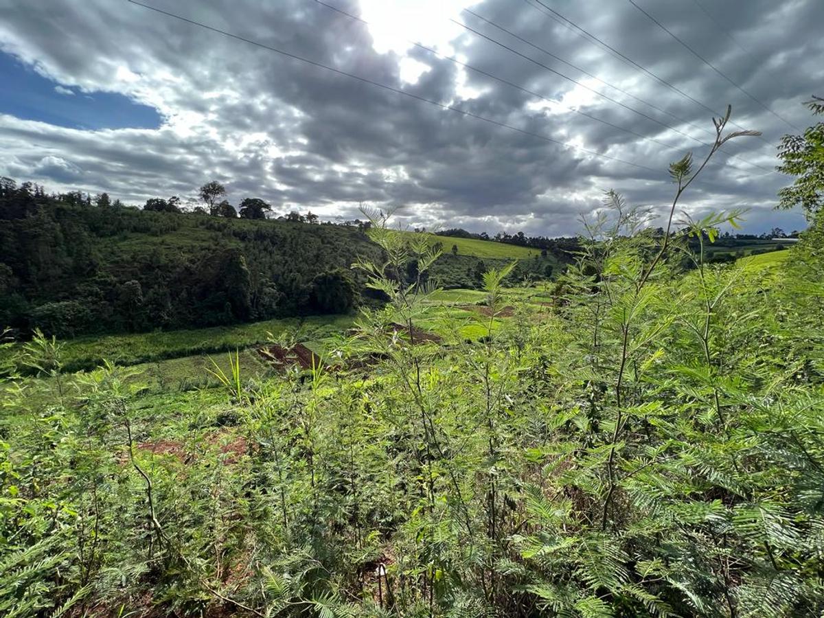 Land in Tigoni - 4