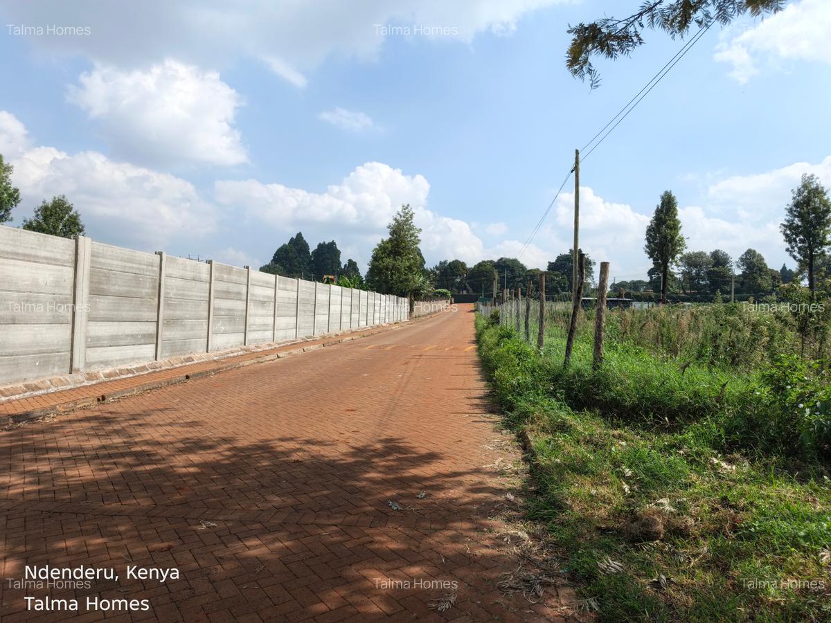 Land at Tigoni - 5