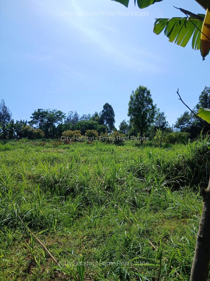 3 ac Land in Kikuyu Town - 1