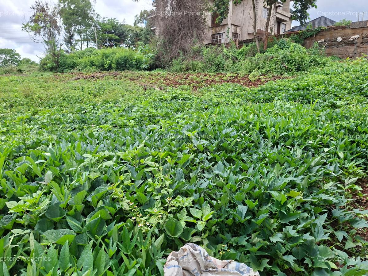 Residential Land in Runda - 5