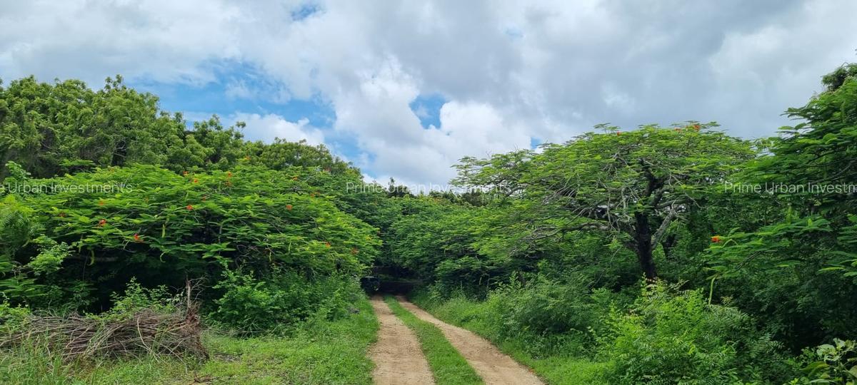 Land at Vipingo Kuruwitu Beach - 6
