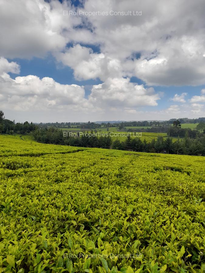 0.5 ac Land at Riara Ridge Tigoni - 6