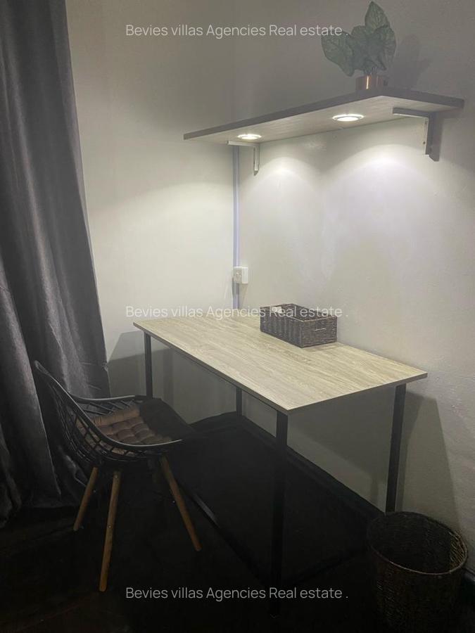 Furnished 1 Bed Apartment with Borehole at Raphta Road - 9