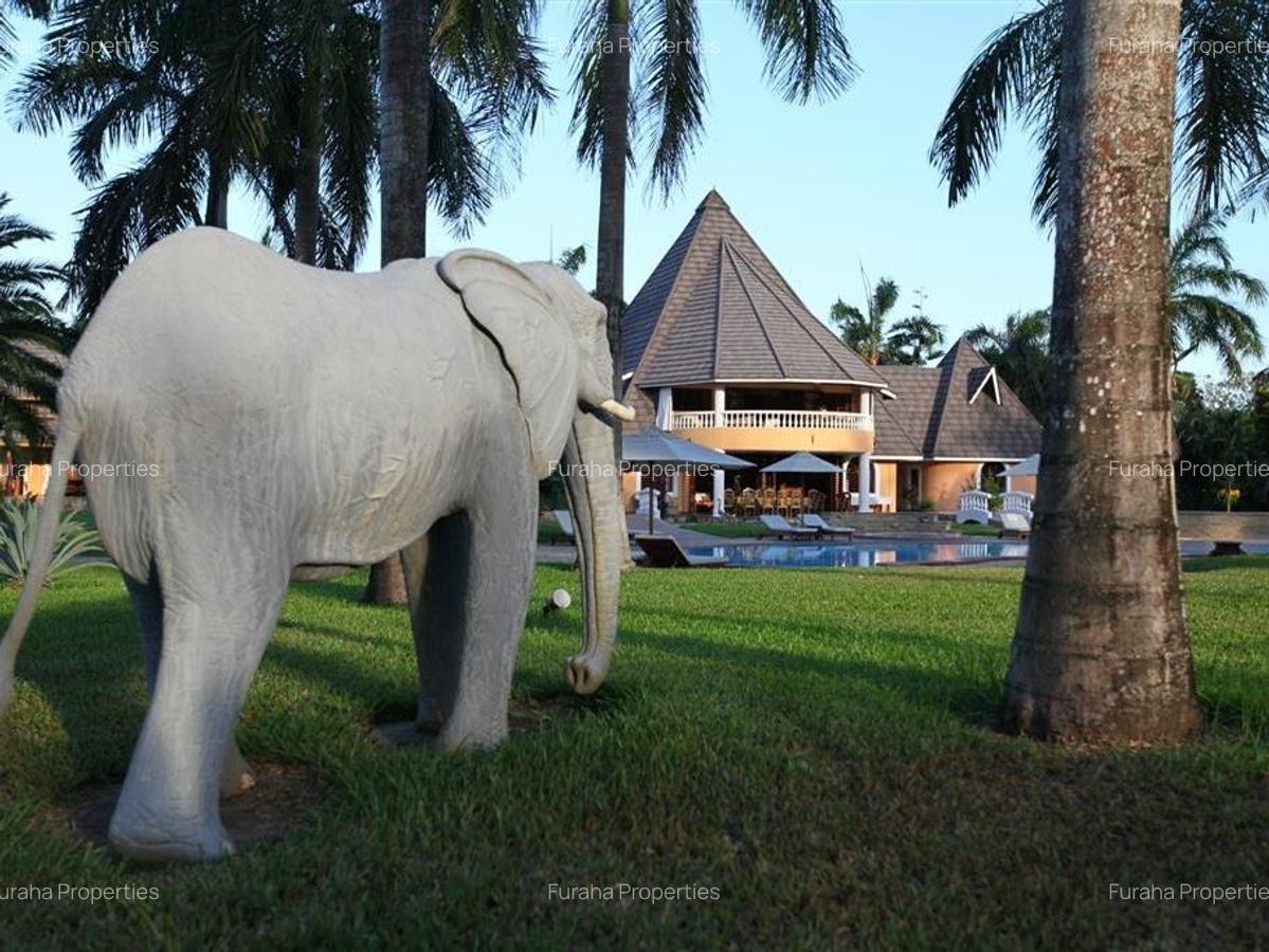 6 Bed House with Swimming Pool in Diani - 4