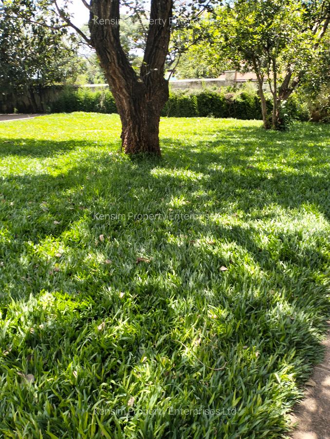 0.75 ac Commercial Land in Lavington - 5