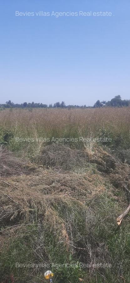 Residential Land at Riverside - 1