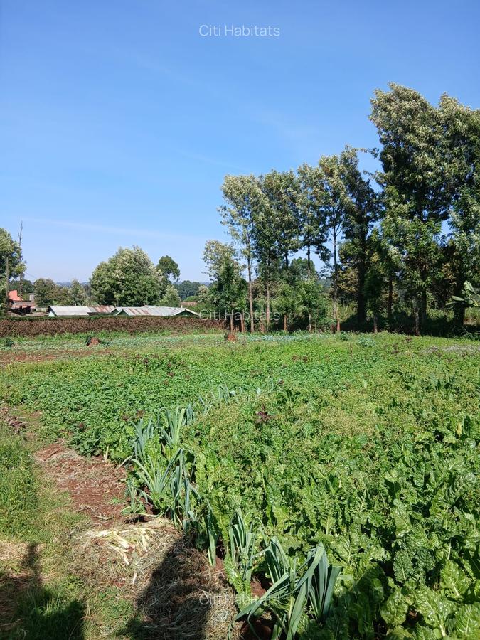 3 ac Land in Kikuyu Town - 4