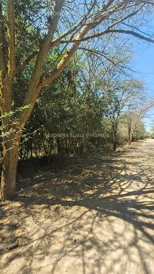 1.19 ac Residential Land at Mukoma - 3