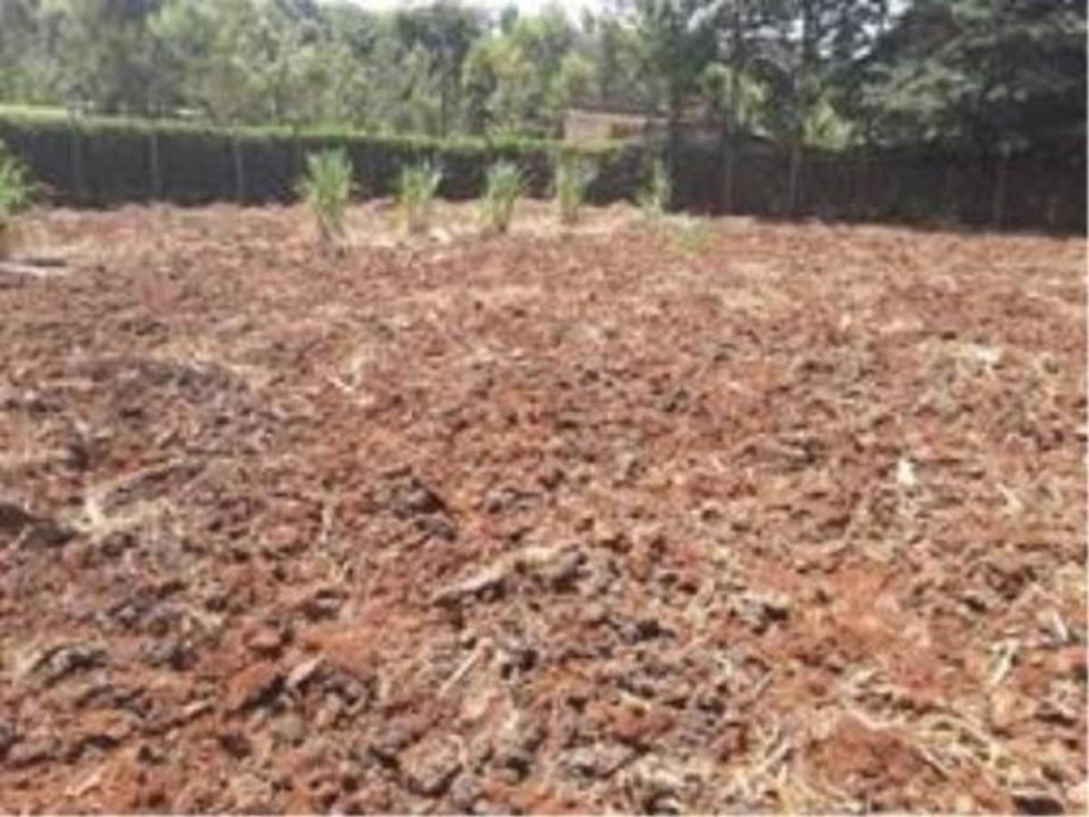 Residential Land at Ngong - Kerarapon - 1