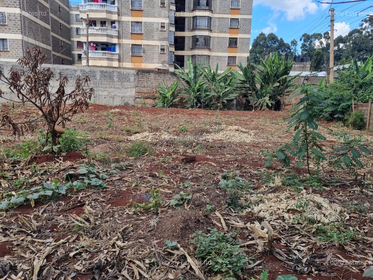 Residential Land at Ruaka Hill Road - 9