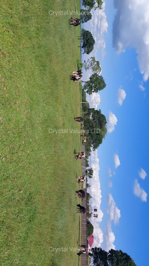 21 ac Land in Tigoni - 6