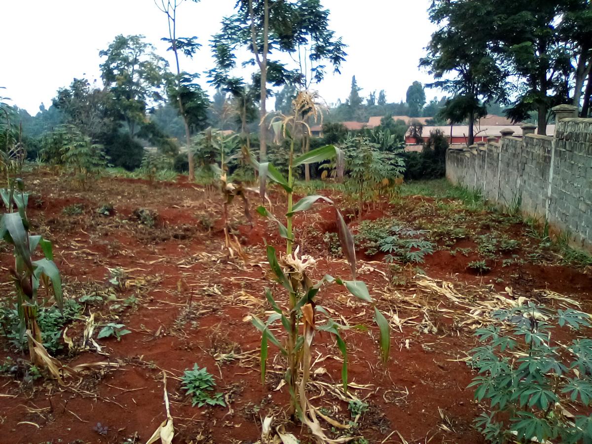 Land at Runda - 3