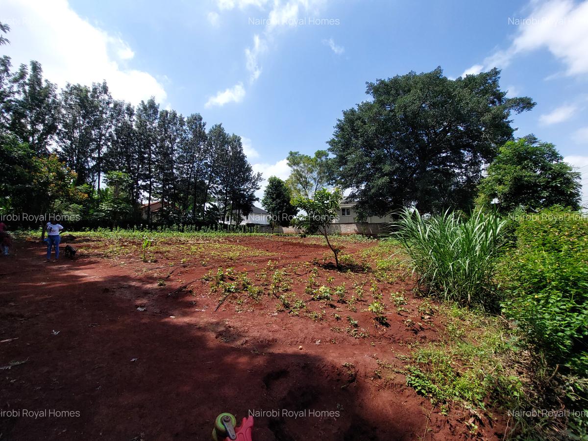 Residential Land at Kirawa Road - 10