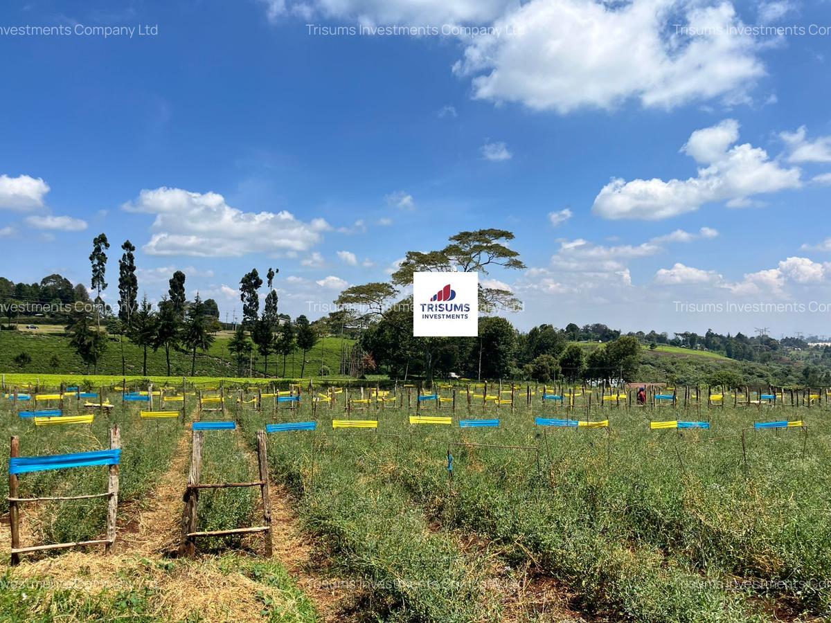 16.5 ac Land in Tigoni - 7