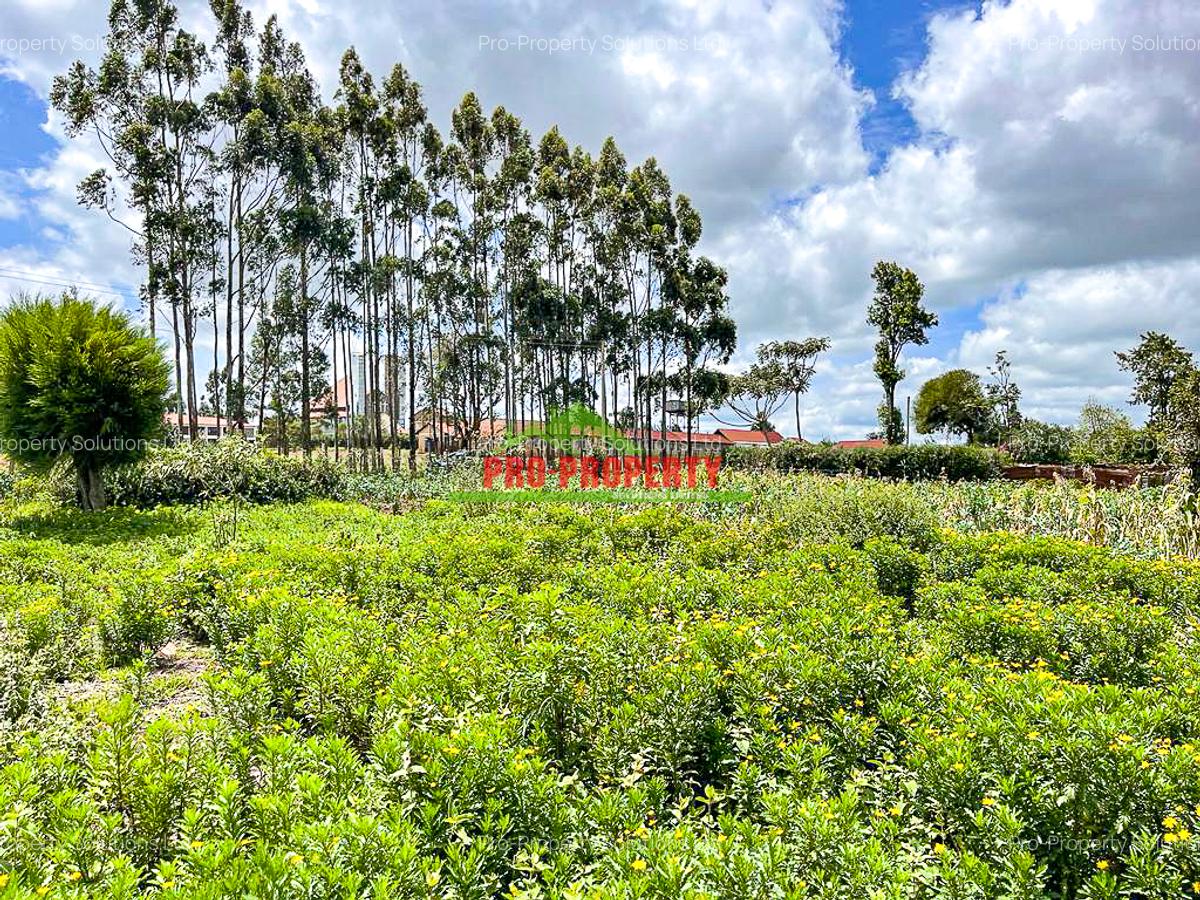 0.4 ha Land at Kamandura - 2