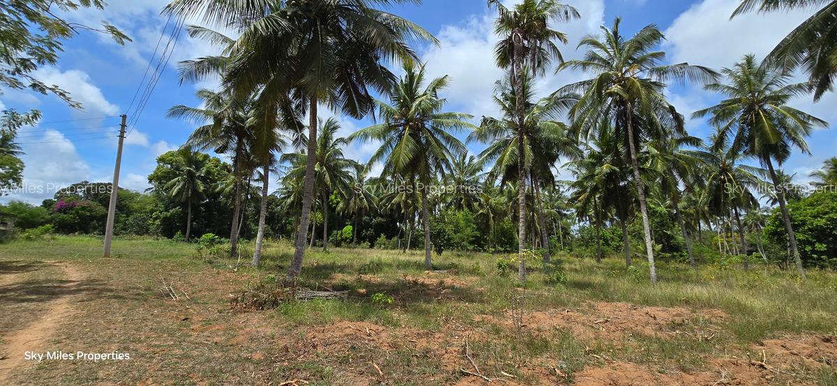 6 ac Land at Bomani - 2